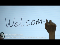 9630 Interactief Flat Panel Video