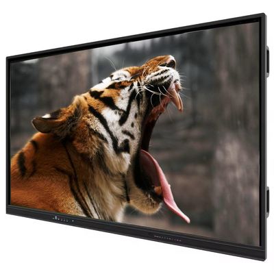 Fabrieksprijs IBoard 65 inch Interactief Flat Panel met infrarood touchscreen en 3G RAM