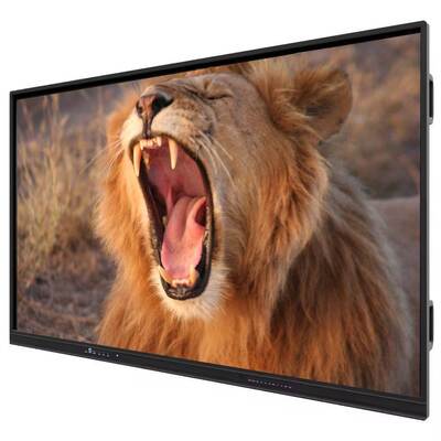 iBoard OEM IR Interactief Infrarood Touchscreen Whiteboard voor Slimme Klaslokalen & Kantoor Vergaderruimtes