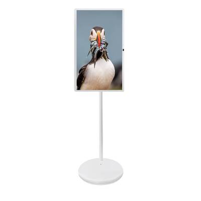 27 32 Inch Android 15 Met Camera Mic Mobile Stand Voor Huis TV Meeting Board Menu Monitor