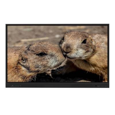 65 75 86 92 98 inch LCD Display Touch Screen Flat Panel Interactive 4K Resolution Digital Interact Smart TV With Wifi Web Media Player