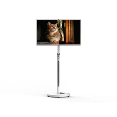 32 inch LCD Smart Bord met 13MP Camera en Android 13 voor Kantoor en Online Lesgeven