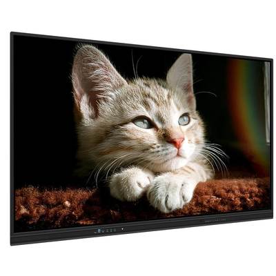 65 inch interactief Whiteboard Smart Board met Android/Windows/Linux/Mac/Chrome OS en draadloze projectie