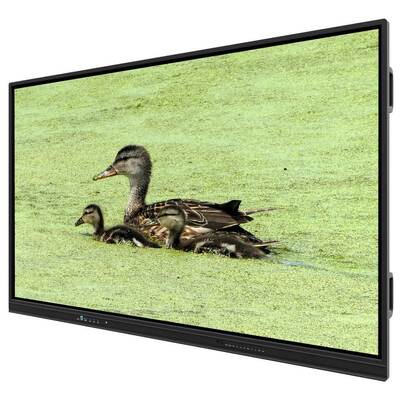 75 inch All-in-one Interactief whiteboard Smart boards voor school kantoor conferentie