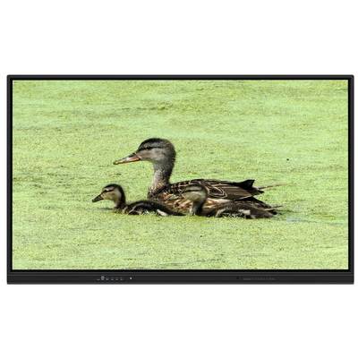 65 inch alles-in-één interactief whiteboard met 8+128G opslag en infrarood touch voor lesgeven en vergaderingen