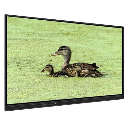 65 inch alles-in-één interactief whiteboard met 8+128G opslag en infrarood touch voor lesgeven en vergaderingen