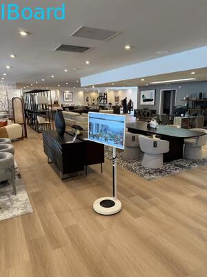 32 inch Draadloos Interactief Whiteboard met Ingebouwde Camera en Draagbaar Smart Screen TV