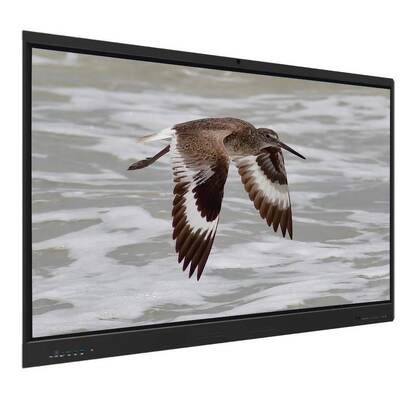 Iboard Interactief Whiteboard Android 15 EDLA met 65 inch paneel Voor e-learning