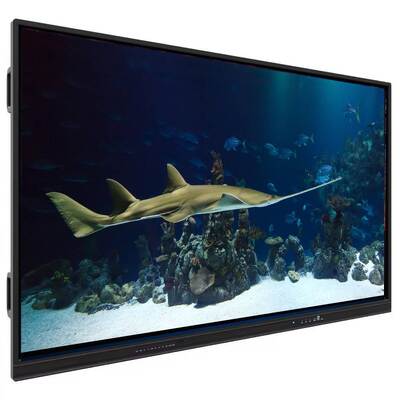 OEM 65/75/85/86/98/110 inch LCD Display Smart Board Prijs Digitaal Whiteboard Educatieve apparatuur Interactief White Board