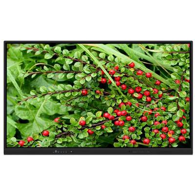 65 75 86 Inch LED Interactief Whiteboard met 2x15W luidsprekers Horizontale oriëntatie Wandmontage voor thuisonderwijs Conferentie Zoom vergaderingen