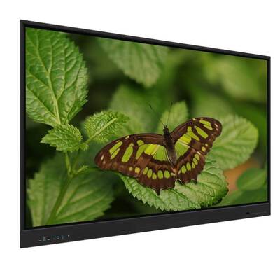 65 Inch Android 14 8+128G Interactief Whiteboard Smart Monitor met Leshulpmiddelen