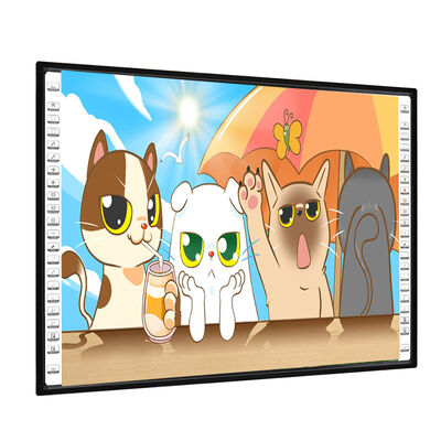 102-inch nano-oppervlakte projectie marker boards USB HDMI pc voor klaslokaal