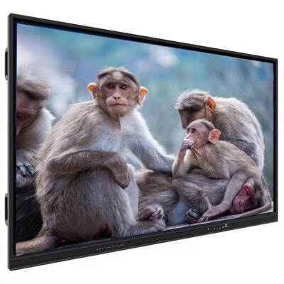 LCD interactief platte paneel met 16:9 aspect ratio Dual OS-ondersteuning en HDMI-invoer voor verbeterd onderwijs